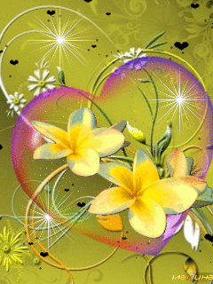 Dowload hình nền hoa tuyệt đẹp cho điện thoại