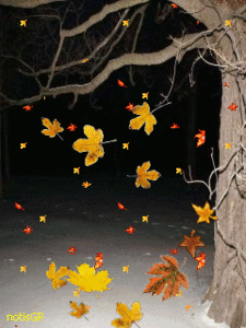 Hình nền động - Lá rơi mùa thu tuyệt đẹp