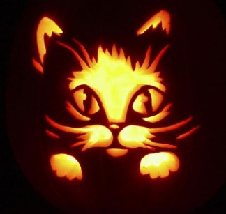 Hình nền halloween – Mèo con cực cute