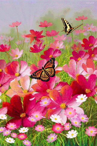 Hình nền động – Cánh đồng hoa và bướm