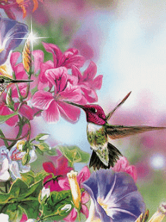 Hình nền động – Hoa và chim