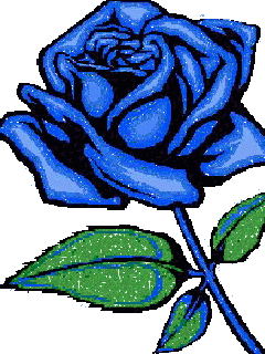 Ảnh nền động đẹp nhất – Hoa hồng xanh