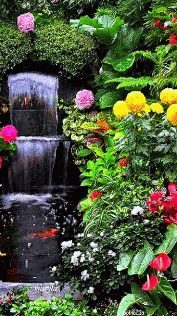 Tải hình động đẹp về thác nước và hoa