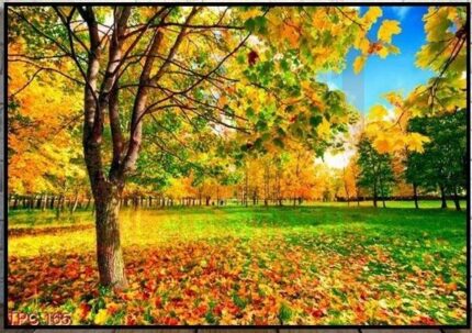 M23 Tranh Phong Cảnh Rừng Núi Mùa Thu đẹp nhất