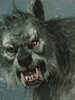Hình nền kinh dị – Ma sói