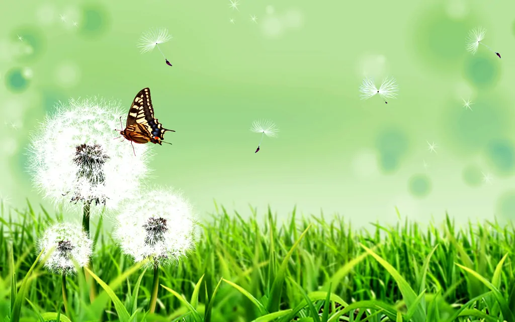 Hình nền hoa bồ công anh cực đẹp