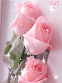 Hình nền hoa hồng đẹp tuyệt vời cho dế yêu