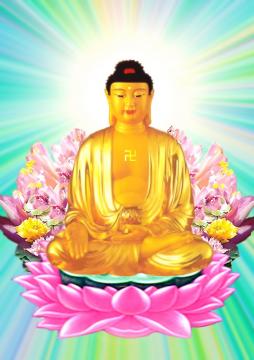 100 Hình Nền Động Phật Giáo Top 24 Hình Ảnh Phật Đẹp Làm Hình Nền Điện  Thoại