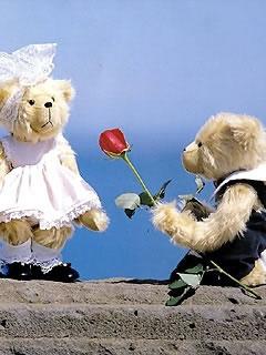 Hình nền tình yêu tặng hoa cho gấu cực lãng mạn