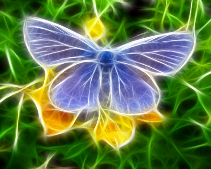 Hình nền 3D con bướm xinh đẹp nhất cho điện thoại