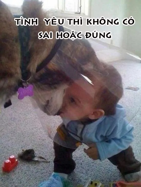 Hình nền vui nhộn - Tình yêu không có sai hoặc đúng