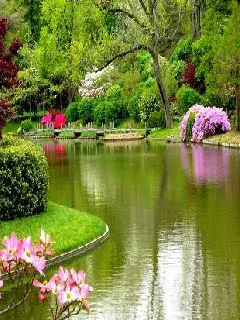 Tải hình nền phong cảnh đẹp chưa từng thấy