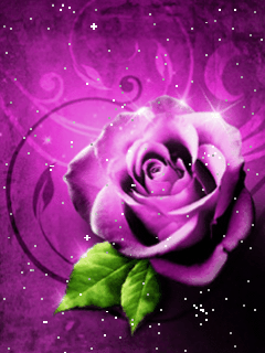 Hình nền động - Hoa hồng biến màu cực đẹp