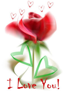 Hình nền tình yêu - Hoa hồng I Love You cực đẹp