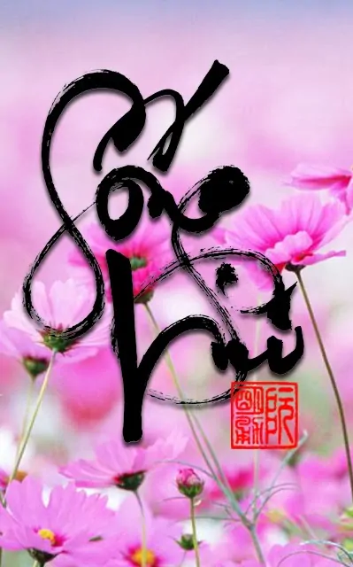 Hình nền thư pháp – Sống vui