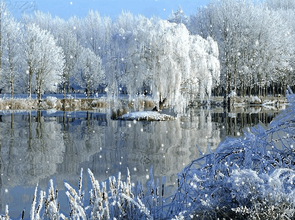 Hình nền động – Tuyết trắng lấp lánh