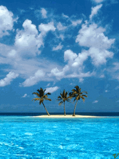 Hình nền động – Đảo dừa ngoài biển