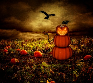 Hình nền halloween - Cánh đồng bí ngô u ám