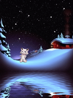 Hình nền động – Mèo con nhảy múa trên tuyết