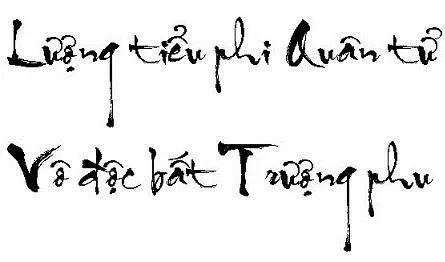 Hình nền thư pháp – Lượng tiểu phi quân tử