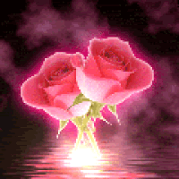 Hình nền động – Hoa hồng phát sáng