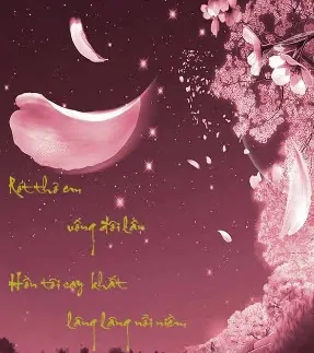 Hình nền thư pháp – Lâng lâng tình yêu