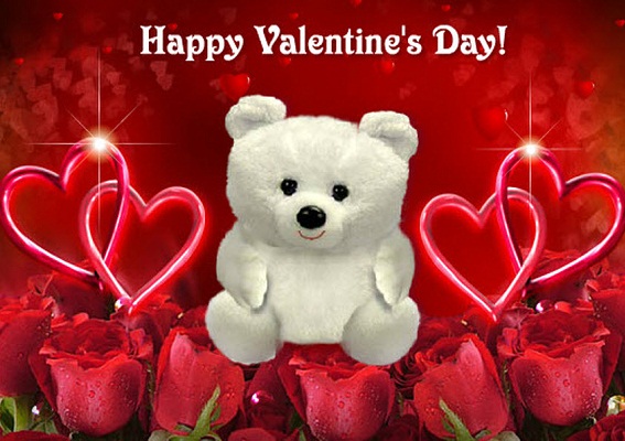 Hình nền valentine – Gấu bông cực đáng yêu