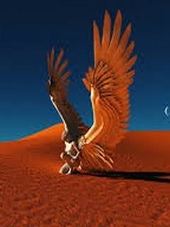 Hình nền 3D - Đại bàng trên sa mạc