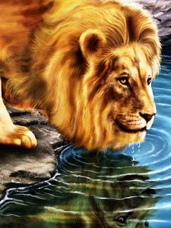 Hình nền 3D – Sư tử uống nước