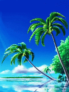 Hình nền mùa hè - Đảo dừa xanh