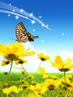 Hình nền mùa hè - Cánh đồng hoa vàng đẹp hút mắt