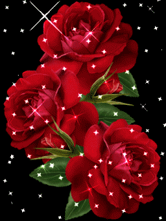 Hình nền động hoa hồng đẹp nhất