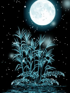 Hình nền động đẹp nhất cho điện thoại – Ánh trăng khuya