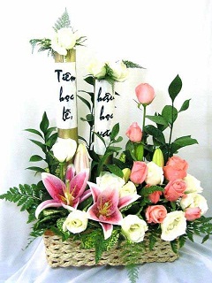 Hình nền hoa 20/11 - Muôn hoa rực rỡ chúc mừng ngày nhà giáo Việt Nam