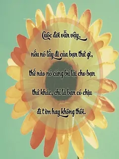 Những câu nói hay về cách sống đậm chất triết lý