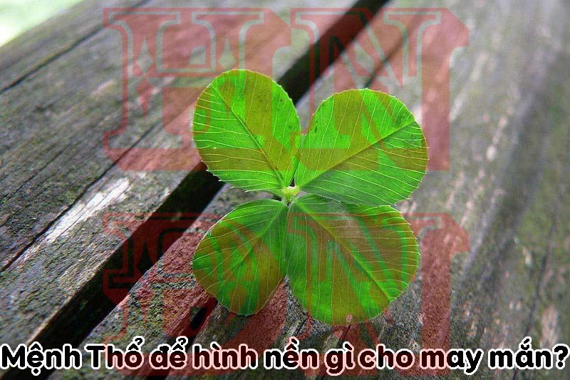 Mệnh Thổ để hình nền gì cho may mắn?