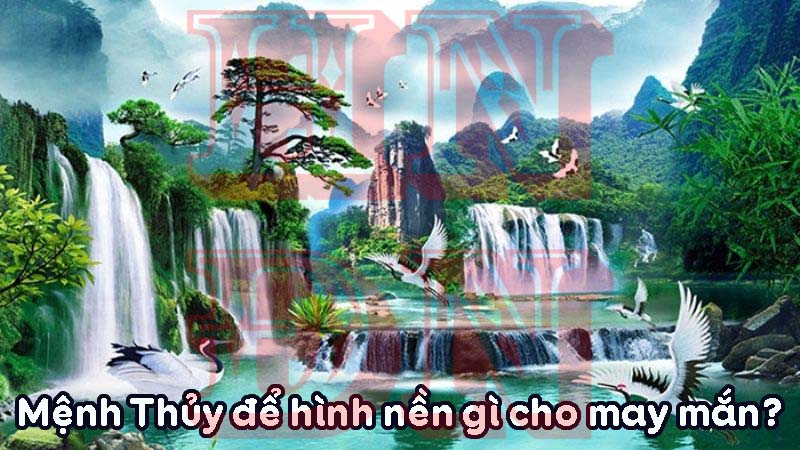 Mệnh Thủy để hình nền gì cho may mắn?